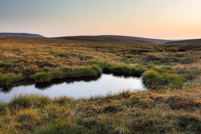 Volunteers have spent seven years creating a healthy blanket bog across parts of The Peak District.