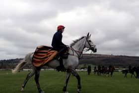 Nick Alexander's Lake View Lad is likely to be one of three Northern runners in the Randox Grand National.