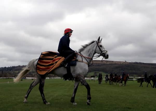 Nick Alexander's Lake View Lad is likely to be one of three Northern runners in the Randox Grand National.
