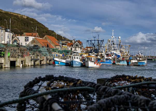 Scarborough's harbour - how will it be funded following North Yorkshire's local government shake-up? Photo: Tony Johnson.