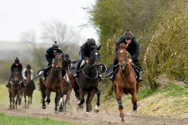 Henry Brooke and Definitly Red lead Brian Ellison's string up the Malton gallops before the Randox Grand National. Photo: Gary Longbottom.