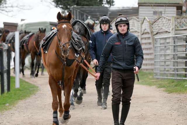 Jockey Henry Brooke leads Randox Grand National contender Definitly Red back to Brian Ellison's stables in Malton.