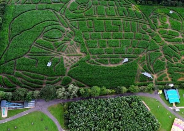 Farmer and avid Star Wars fan Tom Pearcy carved a giant image of some of the original characters from the sci-fi saga into his field of maize plants near York to mark the 40th anniversary of the famous film franchise back in 2017.