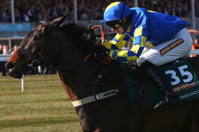 This was Ryan Mania winning the 2013 Grand National on Auroras Encore.