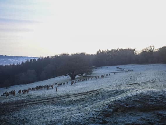 Yorkshire is set for some frosty mornings this week. (PIc: SWNS)