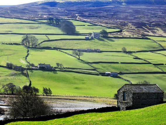 Dry stone walls and stone barns on the outskirts of Reeth in Swaledale, in the Yorkshire Dales. Picture: Gary Longbottom.