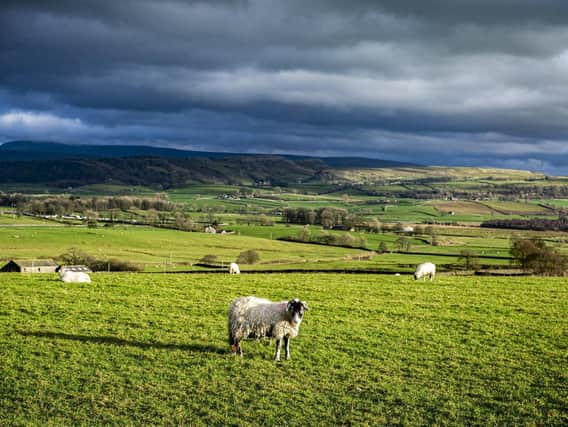 The hills near Clapham Station in the Yorkshire Dales National Park. (Tony Johnson).