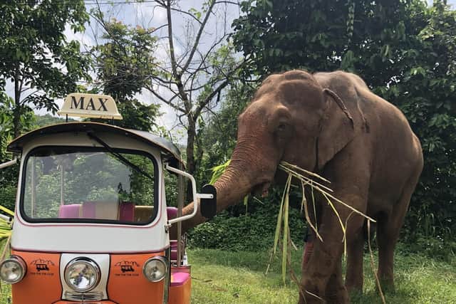 Bruce is found of the Tuk Tuk Club which organises adventure holidays  in Thailand