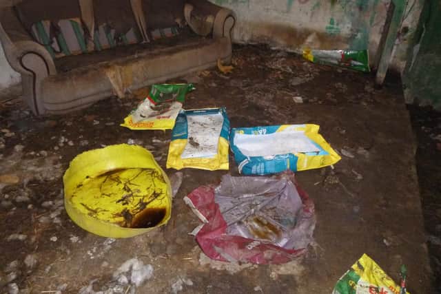 The living conditions the dogs were kept in,