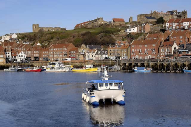 The future of Whitby's harbour is prompting much debate and interest.
