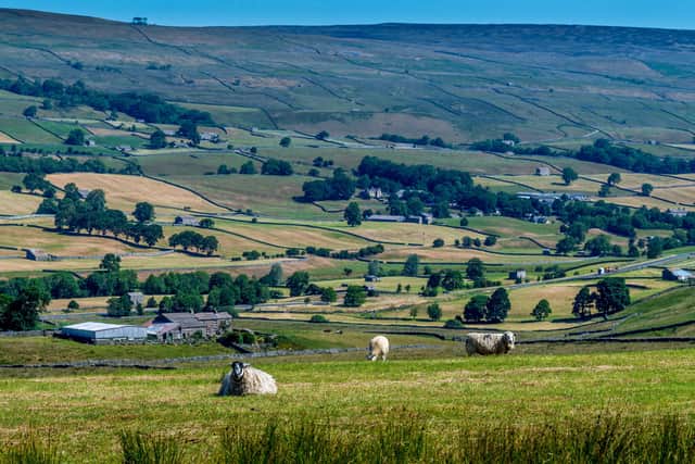 Do rural visitors sufficiently respect the countryside? Photo: James Hardisty.