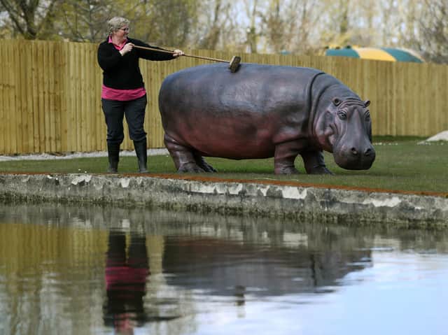 Anna Kenworthy gives a model rhino in the new Go Safari area a wash and brush up before the big day tomorrow