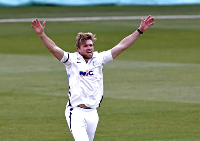 Yorkshire's David Willey appeals during Day 2 of the LV=Insurance County Championship game between Kent and Yorkshire at the Spitfire Ground, Canterbury (Picture: Max Flego)