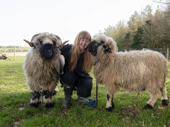 Sharon Lawlor has set up sheep walking experiences
