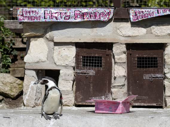 Visitors will be able to see Rosie on her 31st birthday  Credit: PA Wire/Danny Lawson