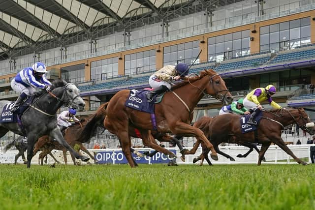 Glen Shiel and Hollie Doyle (centre) deny Brando and Tom Eaces (far side) in the Qipco British Champions Sprint at Ascot last October.