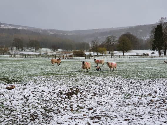 To want to come and work on a Yorkshire farm and face all kinds of weather proves your mettle, says Julian.