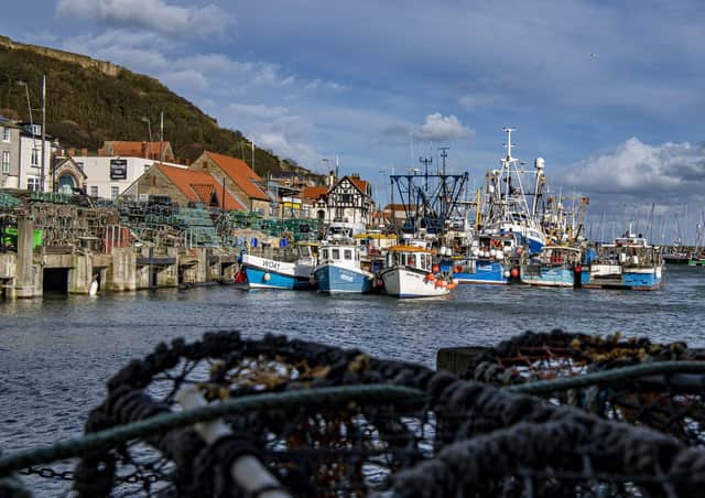 What is the future of Yorkshire's fishing fleets? Photo: Tony Johnson.