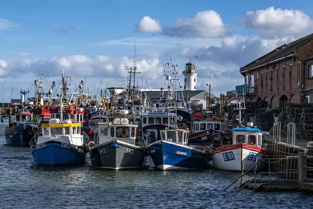 What is the future of Yorkshire's fishing fleets? Photo: Tony Johnson.