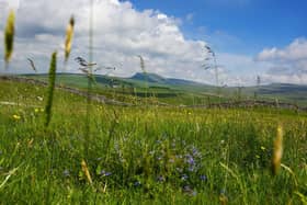 There has been a 129 per cent increase in developments planned on greenfield land, putting them at risk of “rapid and reckless” projects, according to the CPRE