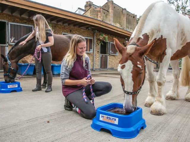 Carr's Group sells everything from horse feed to wellington boots