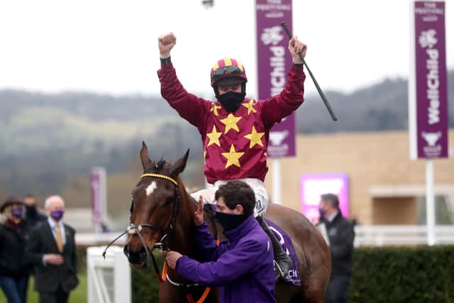 Back on track: Cheltenham Gold Cup winner Minella Indo runs at Punchestown on Wednesday. Picture: David Davies/PA Wire