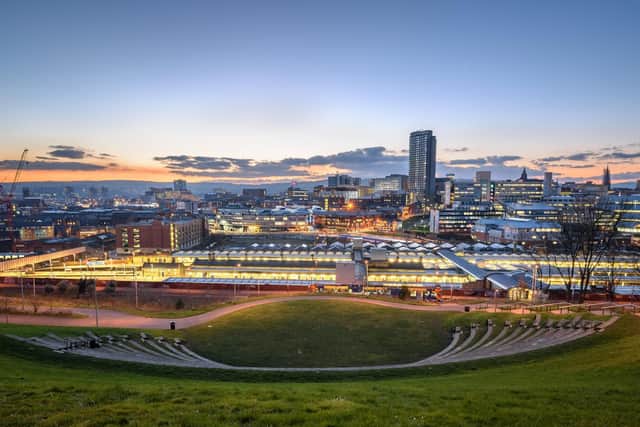 Sheffield city centre at night from Sheaf Valley Park. Credit SakhanPhotography - stock.adobe.