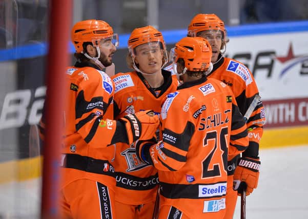 STAND OUT: Josh Waller has earned many admirers during his stint in the Elite Series with Sheffield Steelers. Picture: Dean Woolley.