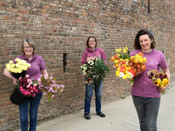 Jill, Jan and Suzie are all from farming backgrounds and were growing flowers commercially in separate businesses before they decided to collaborate