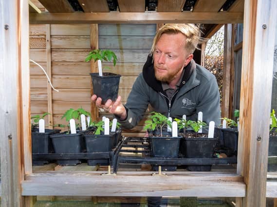 Pictured Russell Watkins, floral team leader at RHS Garden Harlow Carr, working within the grounds. PIC: James Hardisty