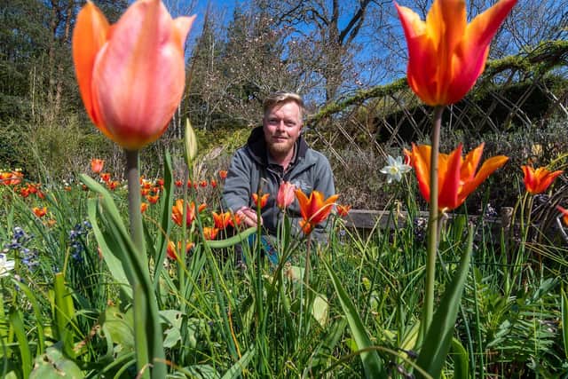 Russell Watkins, floral team leader at RHS Garden Harlow Carr, working within the grounds. PIC: James Hardisty