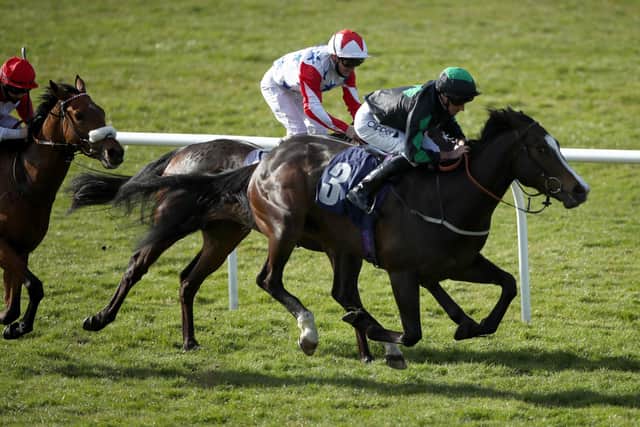 Double: Norman Kindu ridden by Daniel Tudhope (right) goes on to win during The wetherbyracing.co.uk Handicap at Wetherby Racecourse a second win of the day for Tudhope and trainer David O'Meara. Picture: Tim Goode/PA Wire.