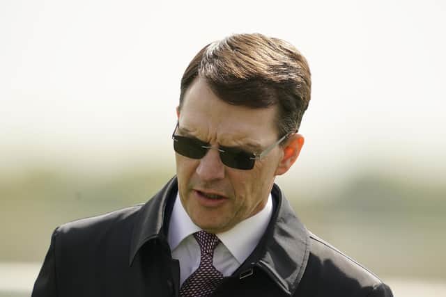 Record holder: Irish maestro Aidan O'Brien has a record ten victories in the 2,000 Guineas. (Photo by Alan Crowhurst/Getty Images)