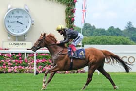 This was Stradivarius and Frankie Dettori winning last year's Ascot Gold Cup; they reappear in today's Sargaro Stakes at the Berkshire track.