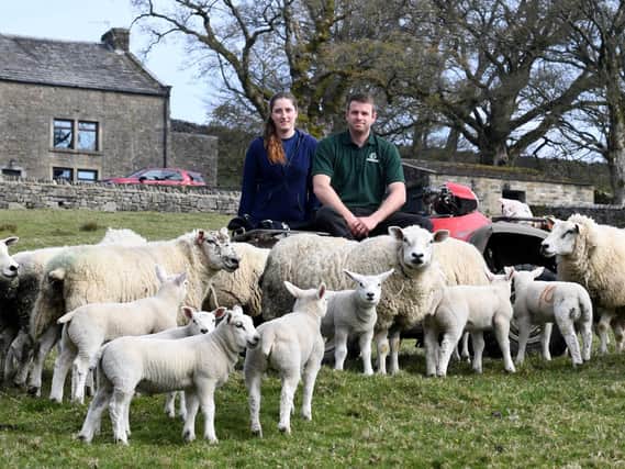 Owain and Jenny farm sheep at Hebden