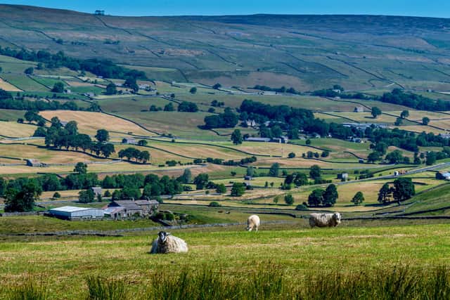 How can Yorkshire's rural areas be better represented in the future?