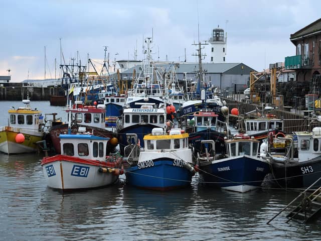 Fishing boats moored at Scarborough as they continue to count the cost of Brexit.