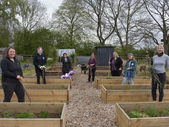 Members of the project preparing the allotment for use.