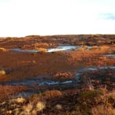 Pictured, an image if degraded peatlands in Yorkshire. The Government must be more ambitious in creating more green jobs including opportunities to protect peatland in the region, the Green Alliance has said. Photo credit: Beth Thomas/The Wildlife Trust