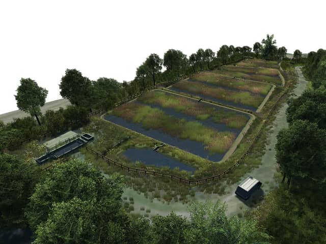 An artist's impression of the wetland site.