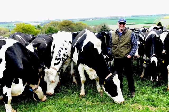 Joe with his milking herd