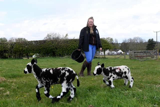 She grew up in a sheep farming family and is marrying into another