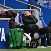 Oh no: Paul Warne reacts after Cardiff City score their equaliser. Picture: Getty Images