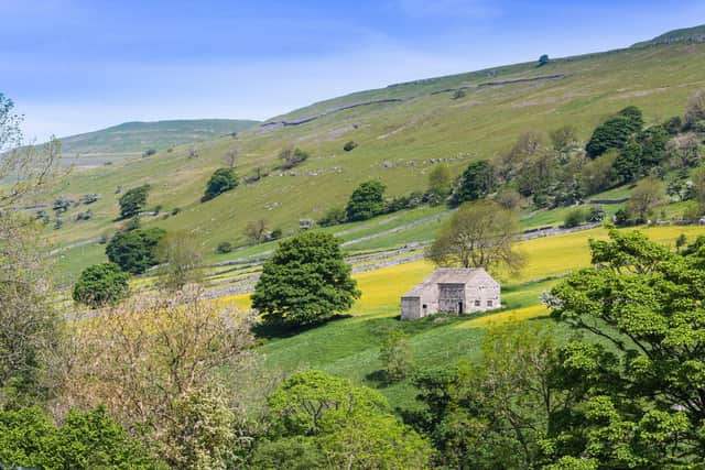 Areas like Swaledale in the Yorkshire Dales are expected to receive an economic boost this summer as more people decided to go on holiday in the UK