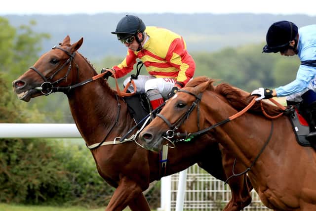 Mark Johnston's Sir Ron Priestley (left) heads the field for the Yorkshire Cup this Friday