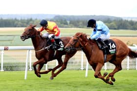 Mark Johnston's Sir Ron Priestley (left) heads the field for the Yorkshire Cup this Friday.