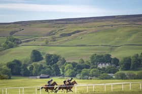 Racehorses on the gallops in Middleham. (Photo credit: Danny Lawson/PA Wire)