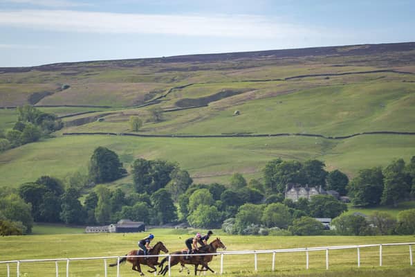 Racehorses on the gallops in Middleham. (Photo credit: Danny Lawson/PA Wire)