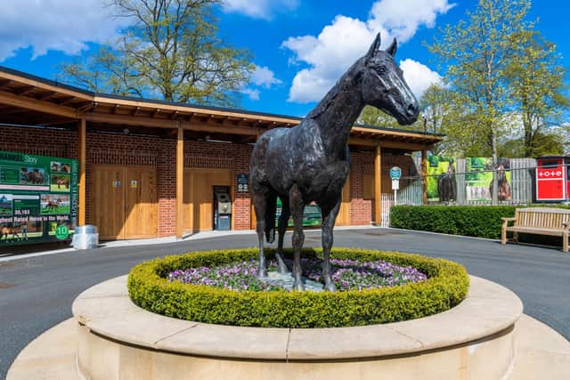 The statue of Frankel at the entrance to York Racecourse. Photo: James Hardisty.