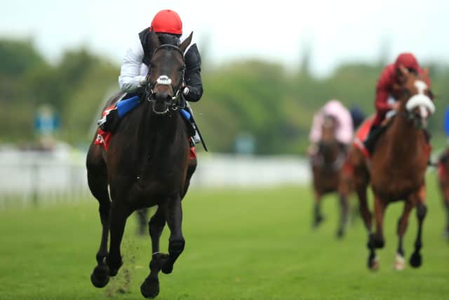 Wilkliam Buick's second Dante win came courtesy of subsequent Derby winner Golden Horn in 2015.